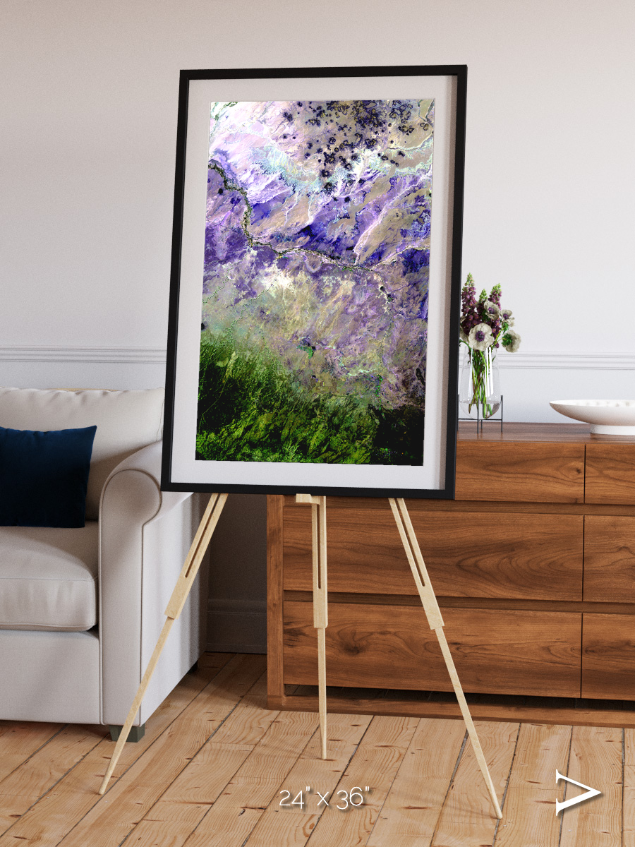 Arid Mosaic, Desert to Forest Framed & Mounted Print