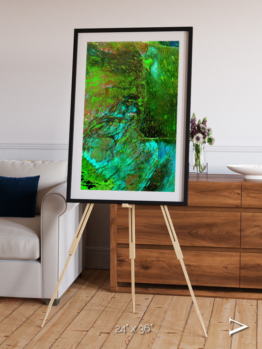 Linear Dunes, Florida Everglades Framed & Mounted Print