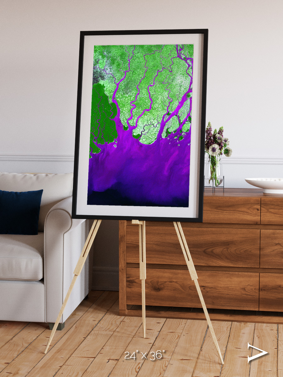 Delta Mosaic, Ganges River Delta Framed & Mounted Print