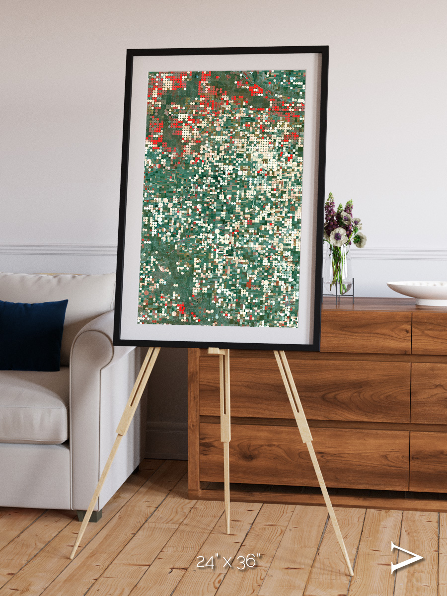 Patterns of Growth, Garden City Framed & Mounted Print