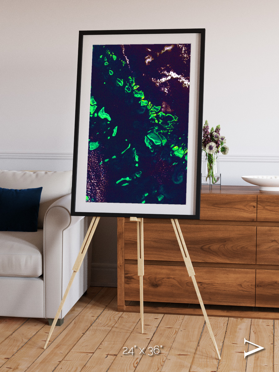 Patterned Ground, Great Barrier Reef Framed & Mounted Print