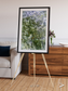 Earth in Colour, Namaqualand Framed & Mounted Print