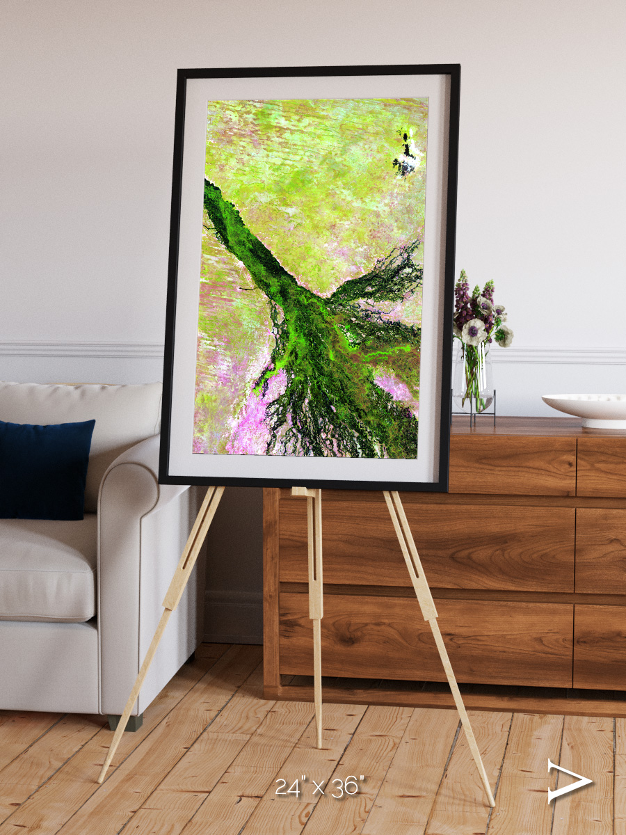 Inland Bloom, Okavango Framed & Mounted Print