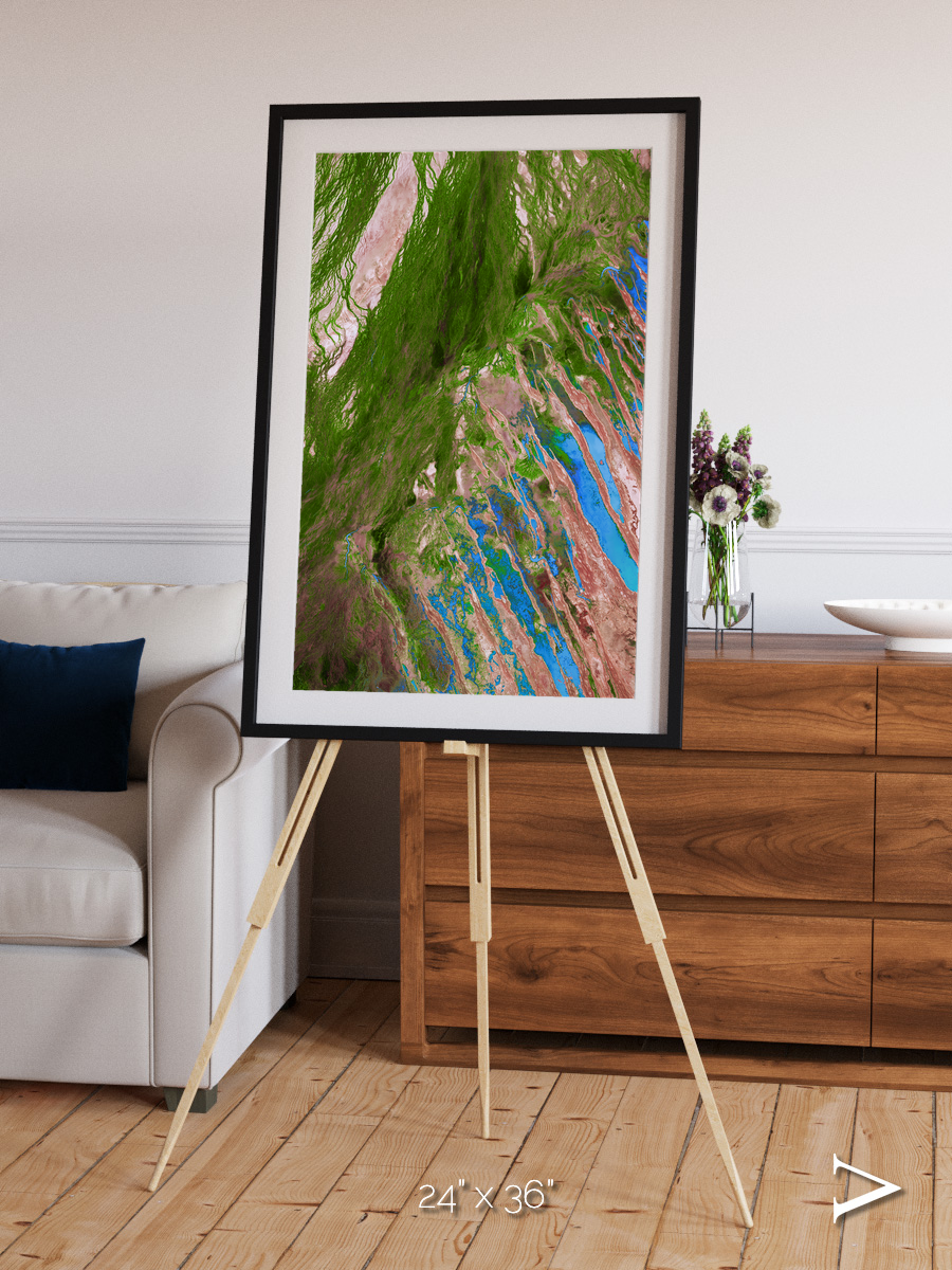 Desert Bloom, Lake Eyre Basin Framed & Mounted Print