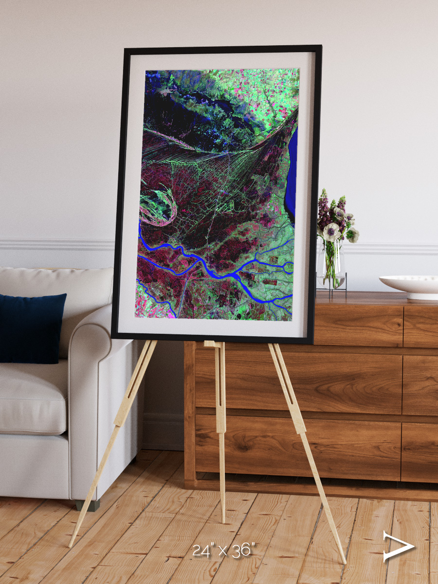 Braided Delta, Parana River Delta Framed & Mounted Print