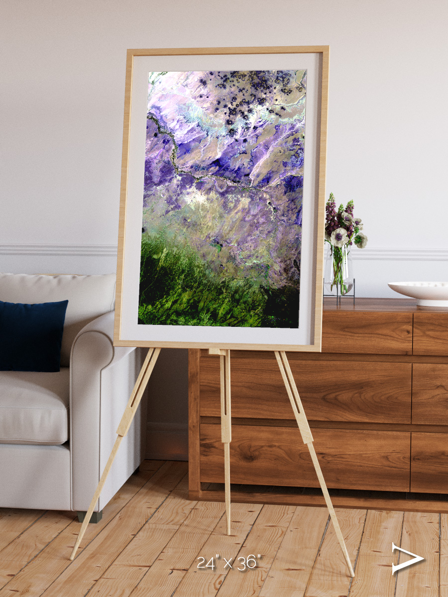 Arid Mosaic, Desert to Forest Framed & Mounted Print