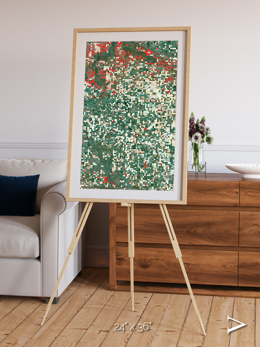 Patterns of Growth, Garden City Framed & Mounted Print