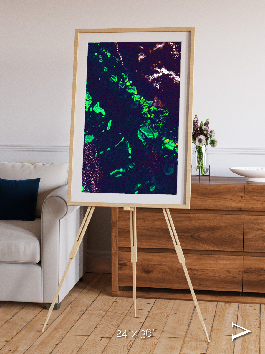 Patterned Ground, Great Barrier Reef Framed & Mounted Print