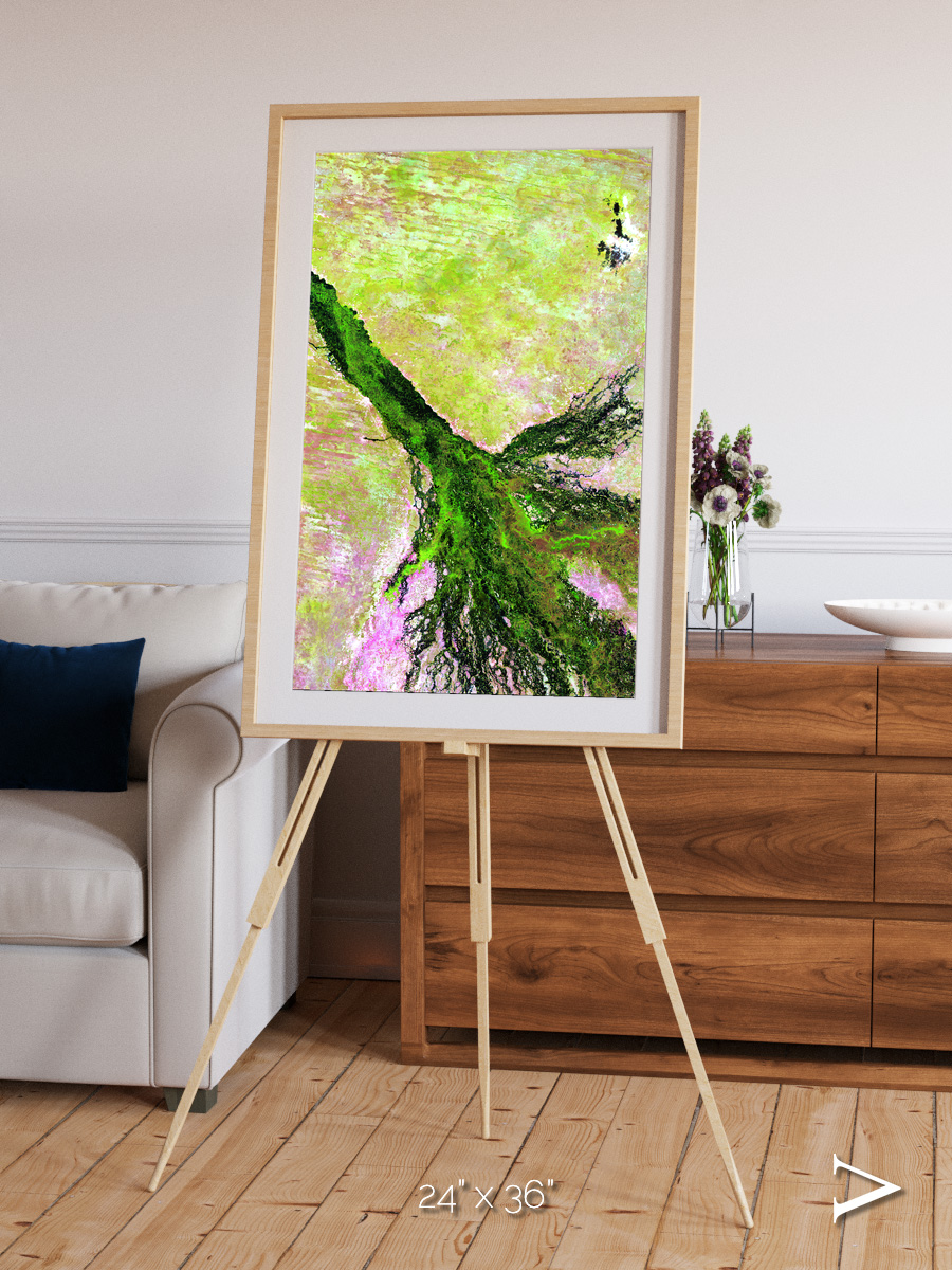 Inland Bloom, Okavango Framed & Mounted Print