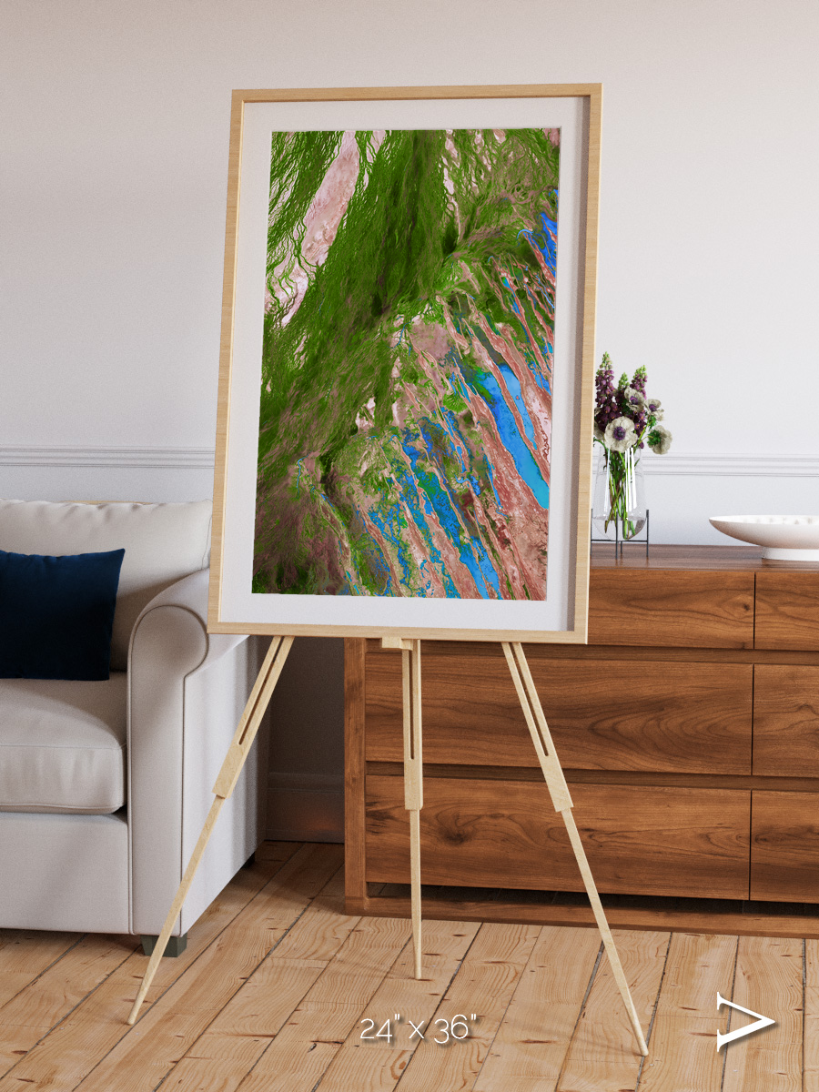 Desert Bloom, Lake Eyre Basin Framed & Mounted Print