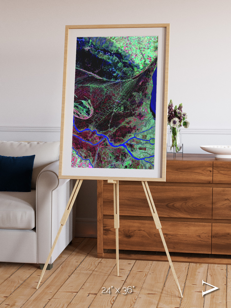 Braided Delta, Parana River Delta Framed & Mounted Print