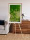 Ribbon River, South America Framed & Mounted Print