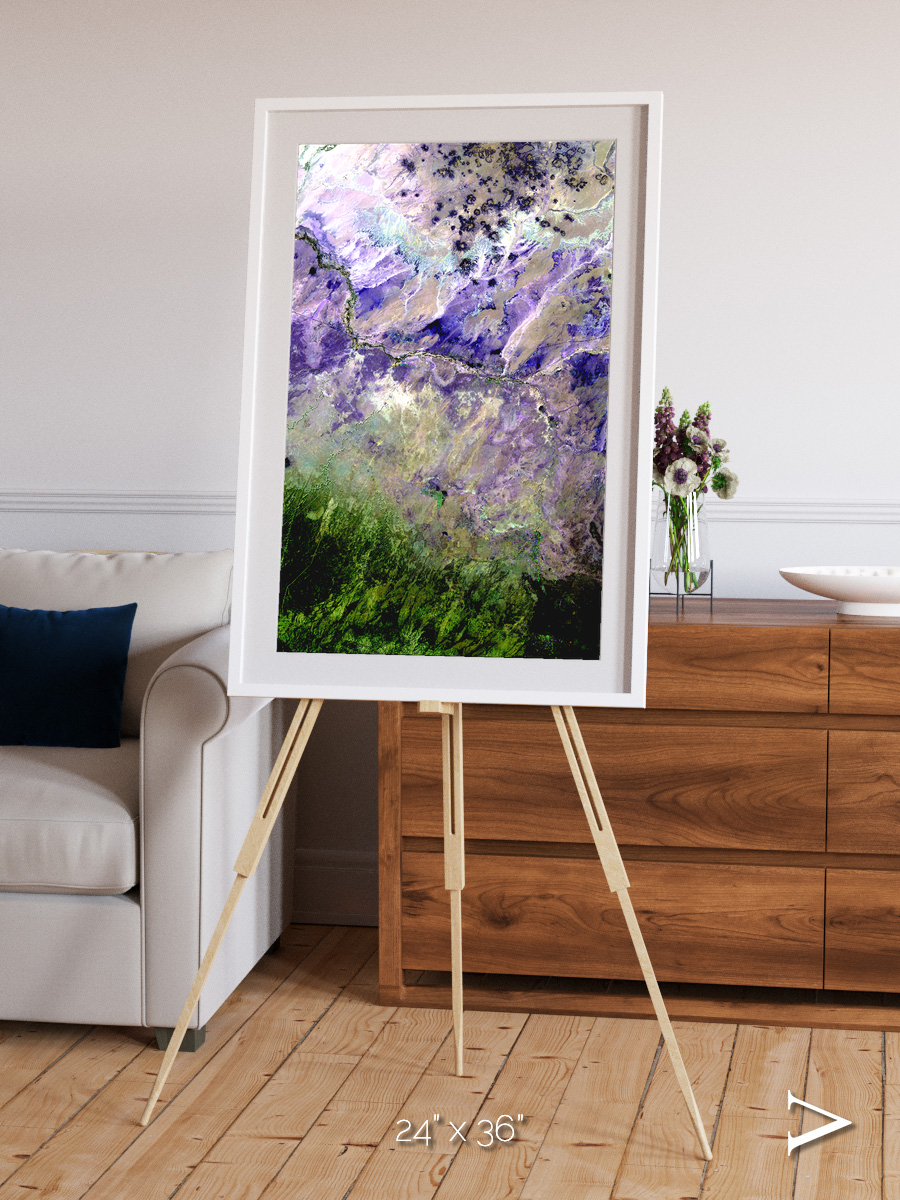 Arid Mosaic, Desert to Forest Framed & Mounted Print