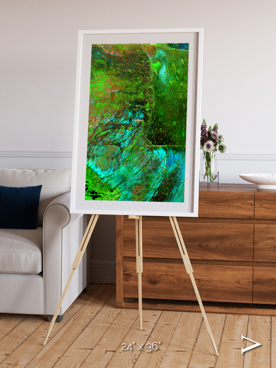 Linear Dunes, Florida Everglades Framed & Mounted Print