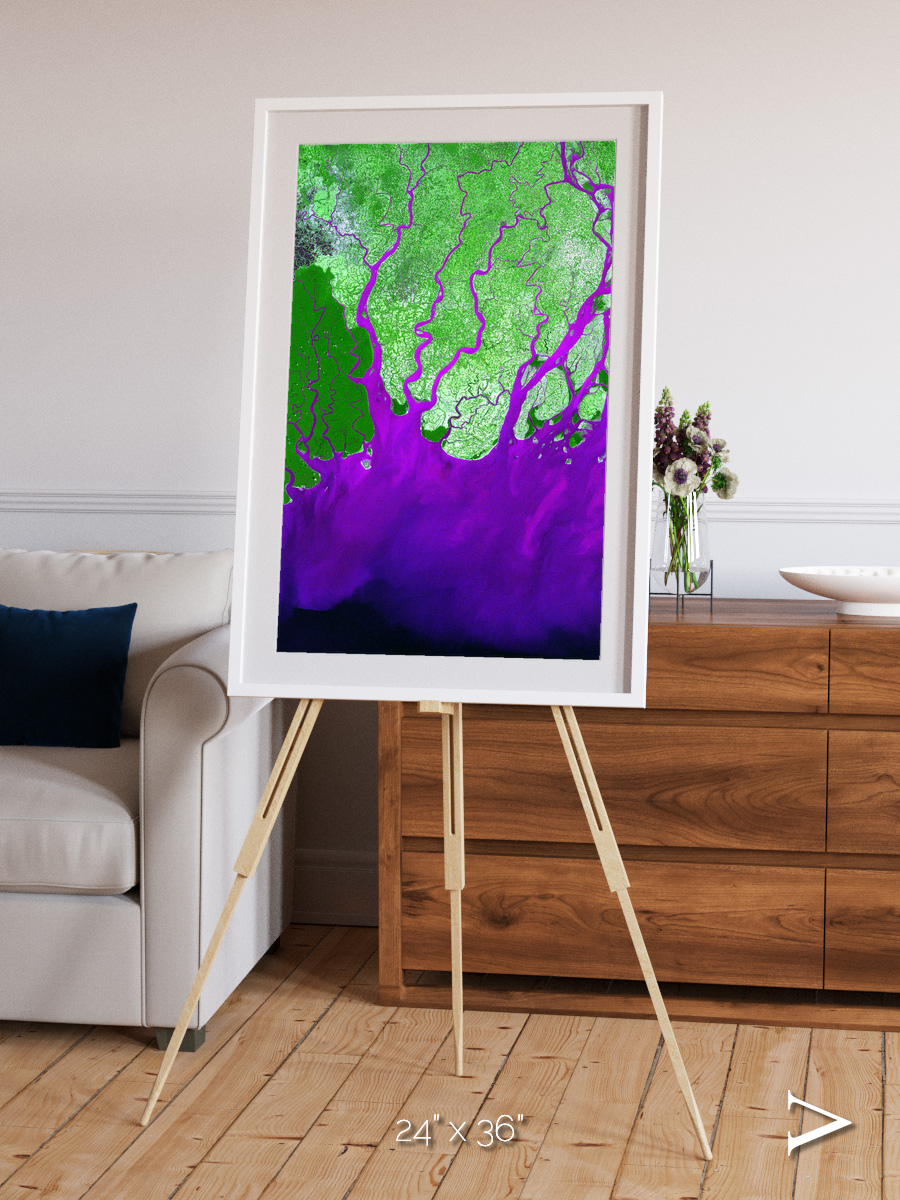 Delta Mosaic, Ganges River Delta Framed & Mounted Print