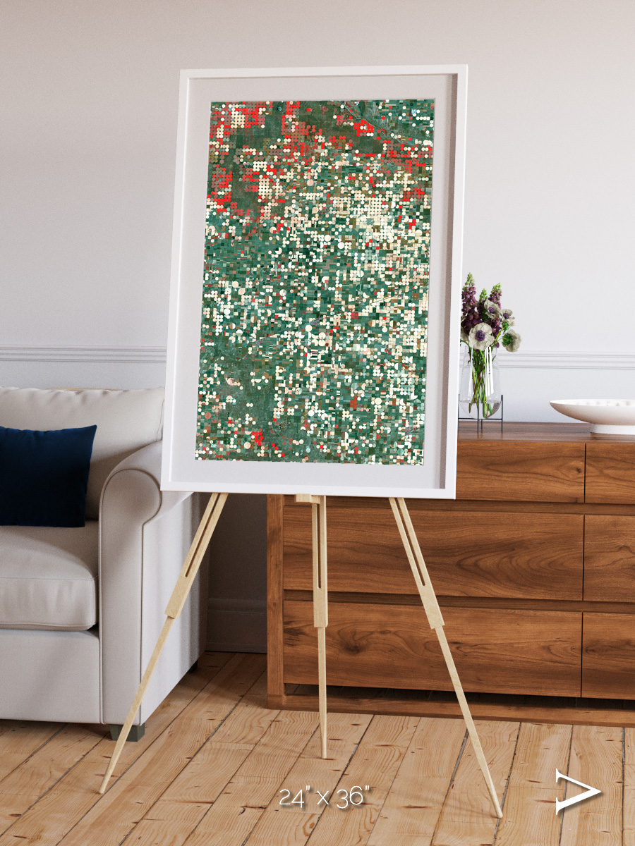 Patterns of Growth, Garden City Framed & Mounted Print