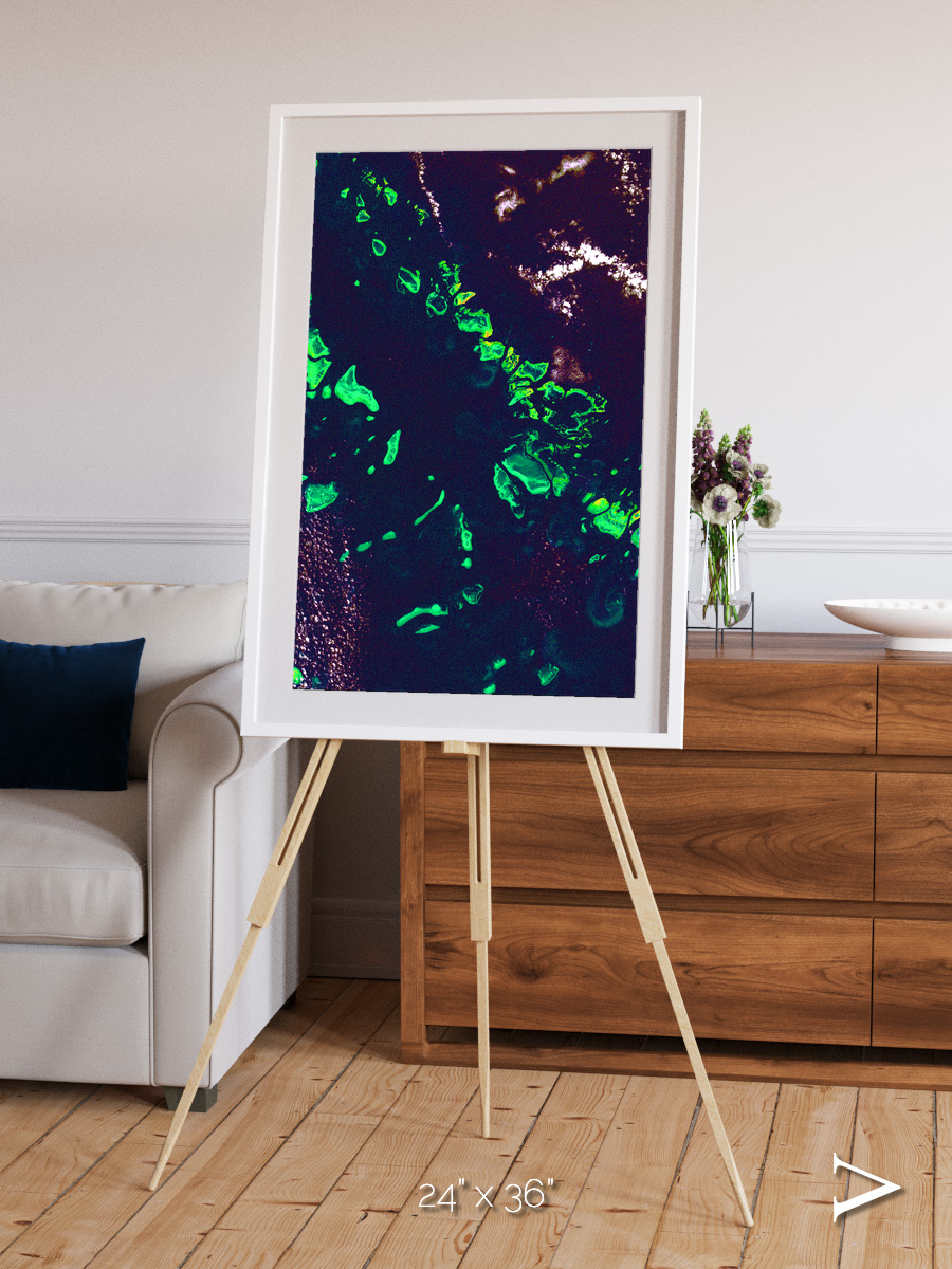 Patterned Ground, Great Barrier Reef Framed & Mounted Print