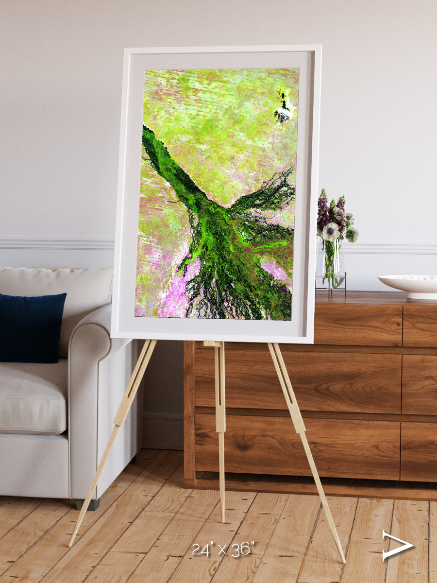 Inland Bloom, Okavango Framed & Mounted Print