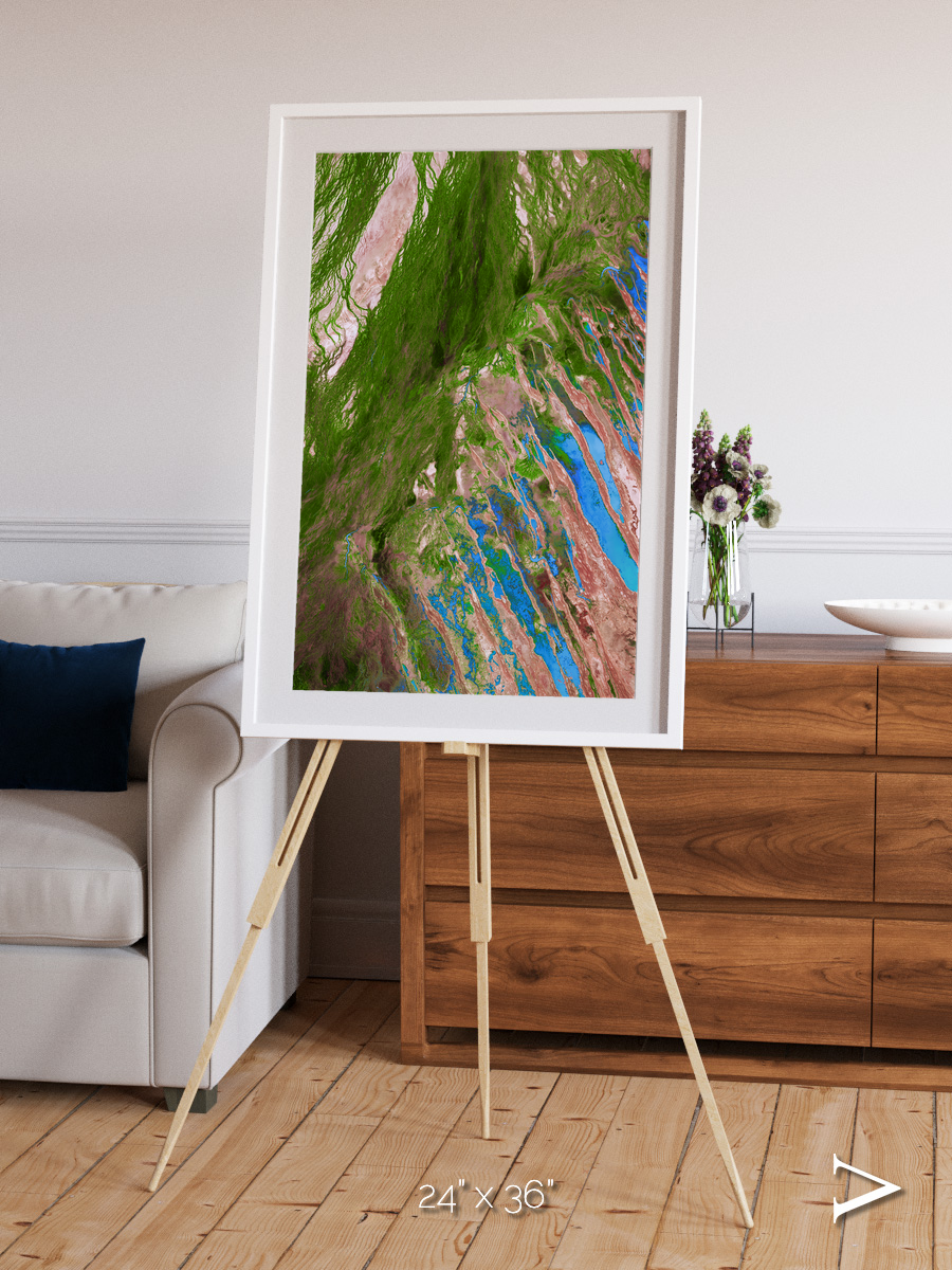 Desert Bloom, Lake Eyre Basin Framed & Mounted Print