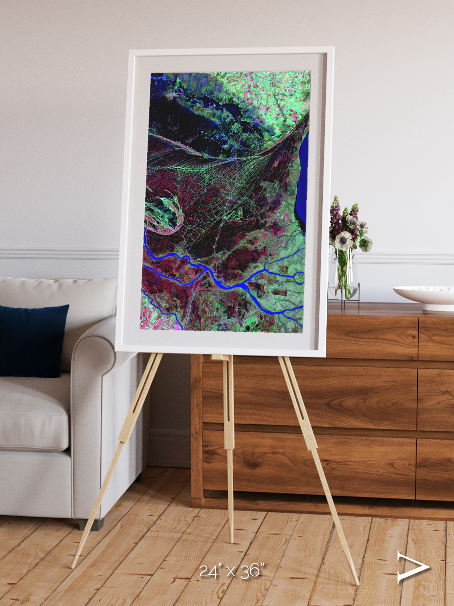 Braided Delta, Parana River Delta Framed & Mounted Print