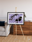 Vortices over Broutona, Kuril Islands Framed & Mounted Print