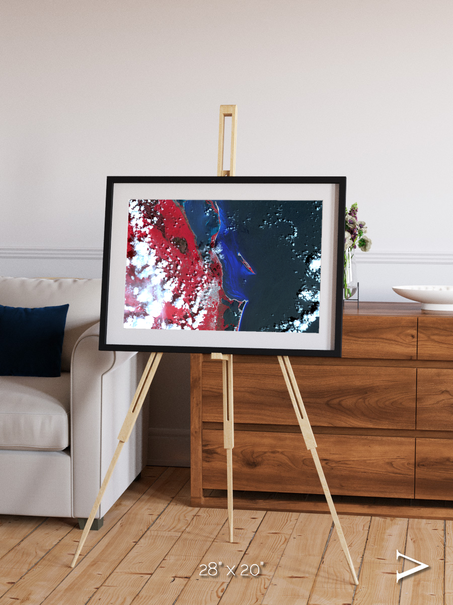 Living Edge, Cancun Framed & Mounted Print
