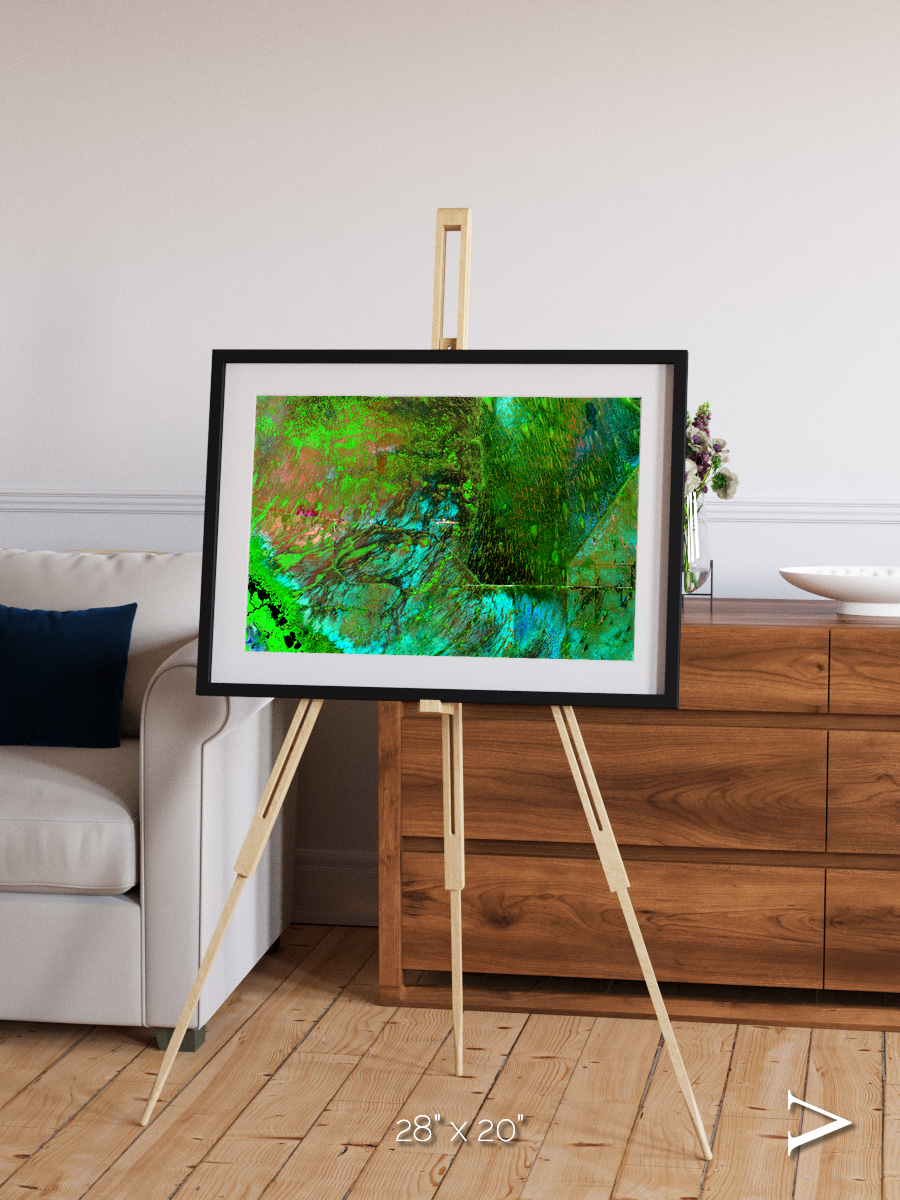 Linear Dunes, Florida Everglades Framed & Mounted Print