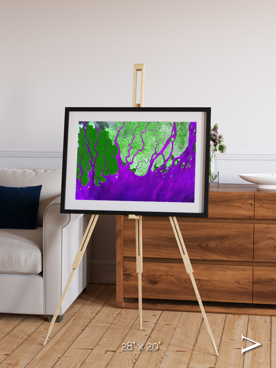 Delta Mosaic, Ganges River Delta Framed & Mounted Print