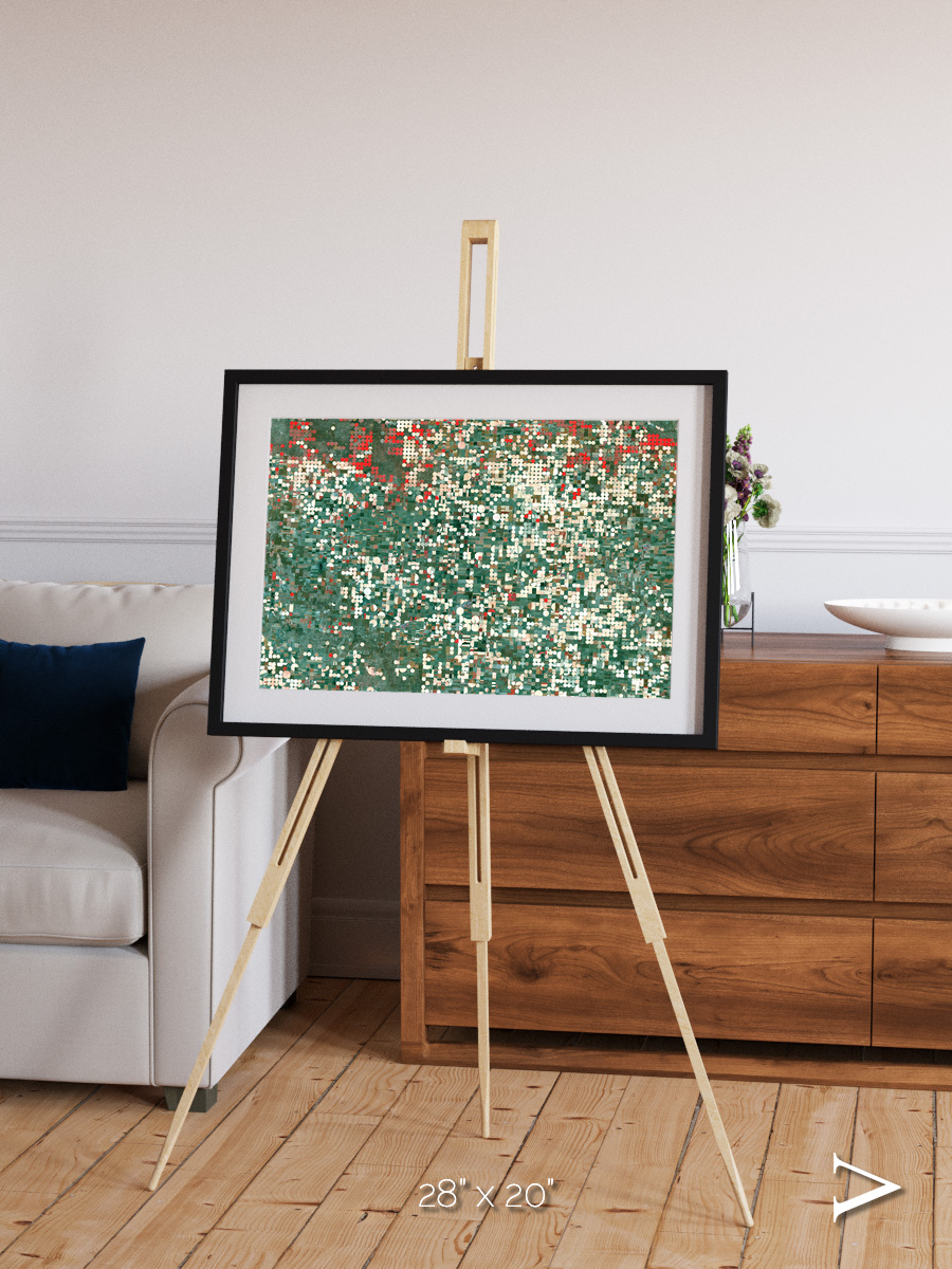 Patterns of Growth, Garden City Framed & Mounted Print