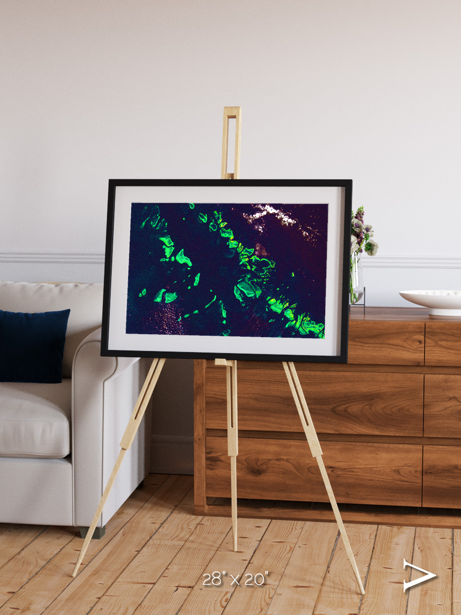 Patterned Ground, Great Barrier Reef Framed & Mounted Print