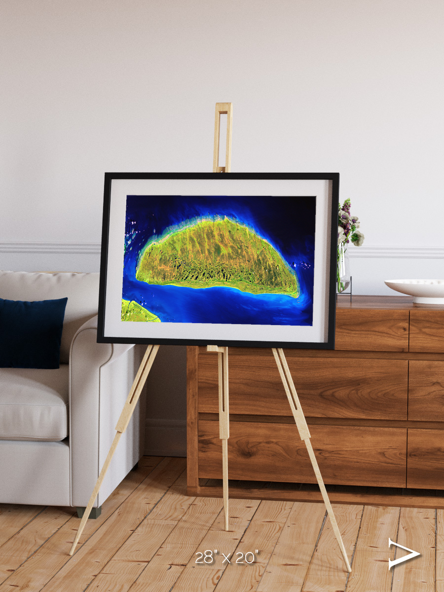 Coastal Fragments, Island Rebound Framed & Mounted Print