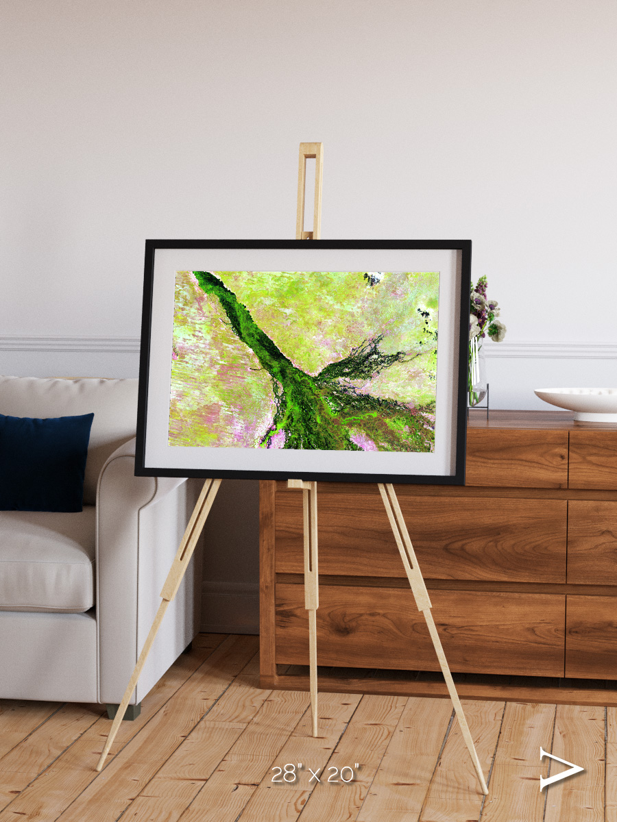 Inland Bloom, Okavango Framed & Mounted Print