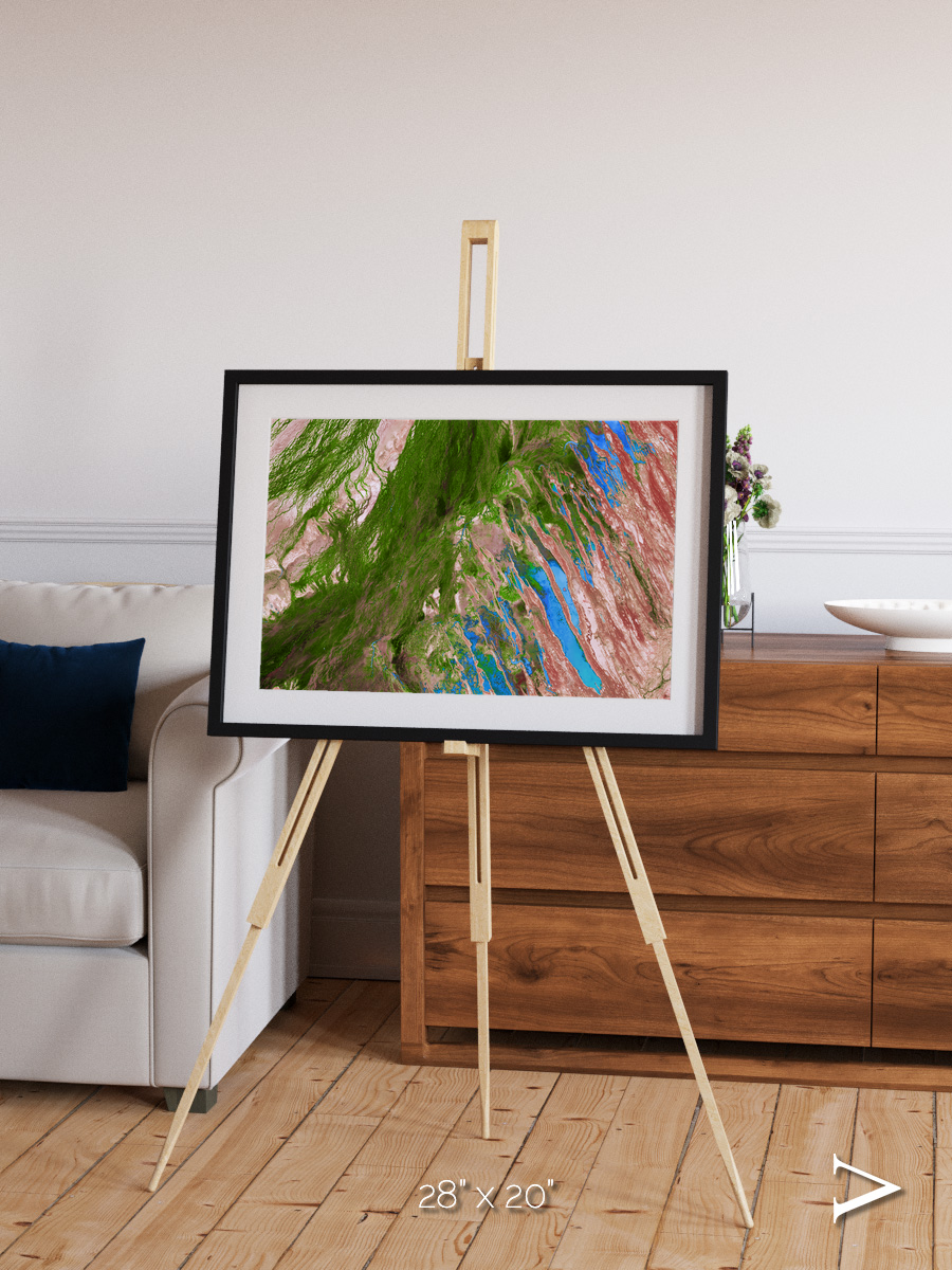 Desert Bloom, Lake Eyre Basin Framed & Mounted Print