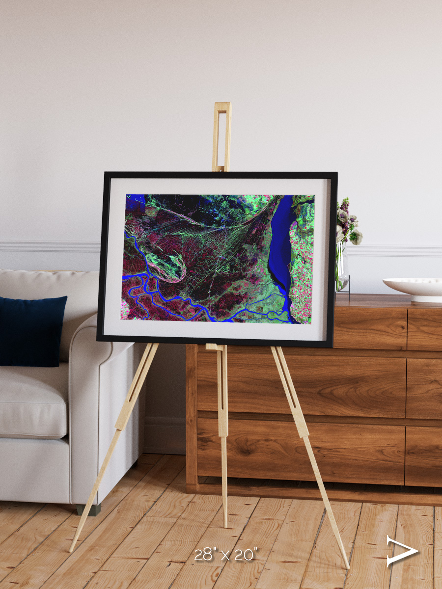 Braided Delta, Parana River Delta Framed & Mounted Print