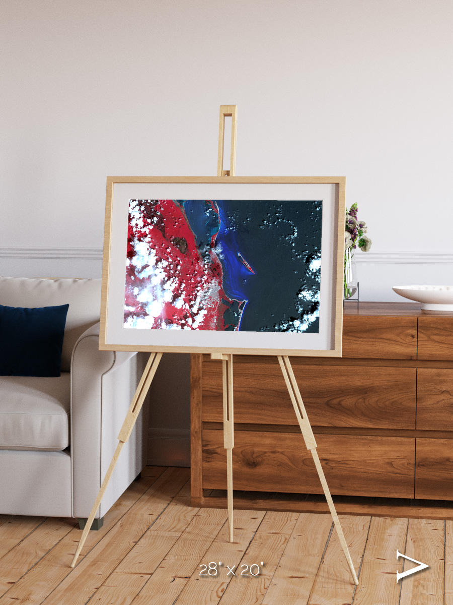 Living Edge, Cancun Framed & Mounted Print
