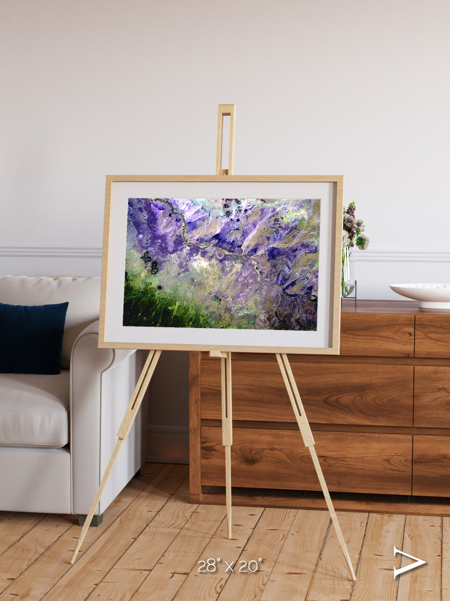 Arid Mosaic, Desert to Forest Framed & Mounted Print