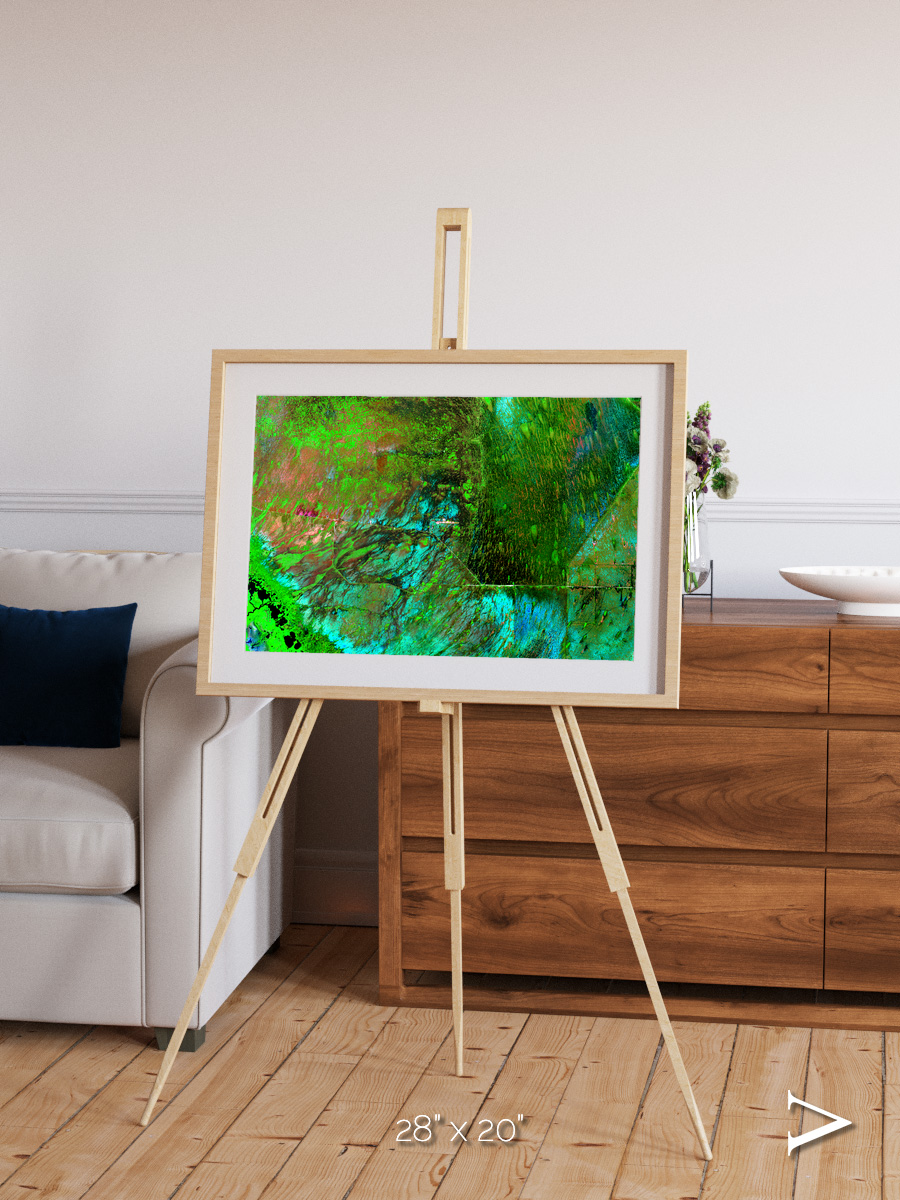 Linear Dunes, Florida Everglades Framed & Mounted Print