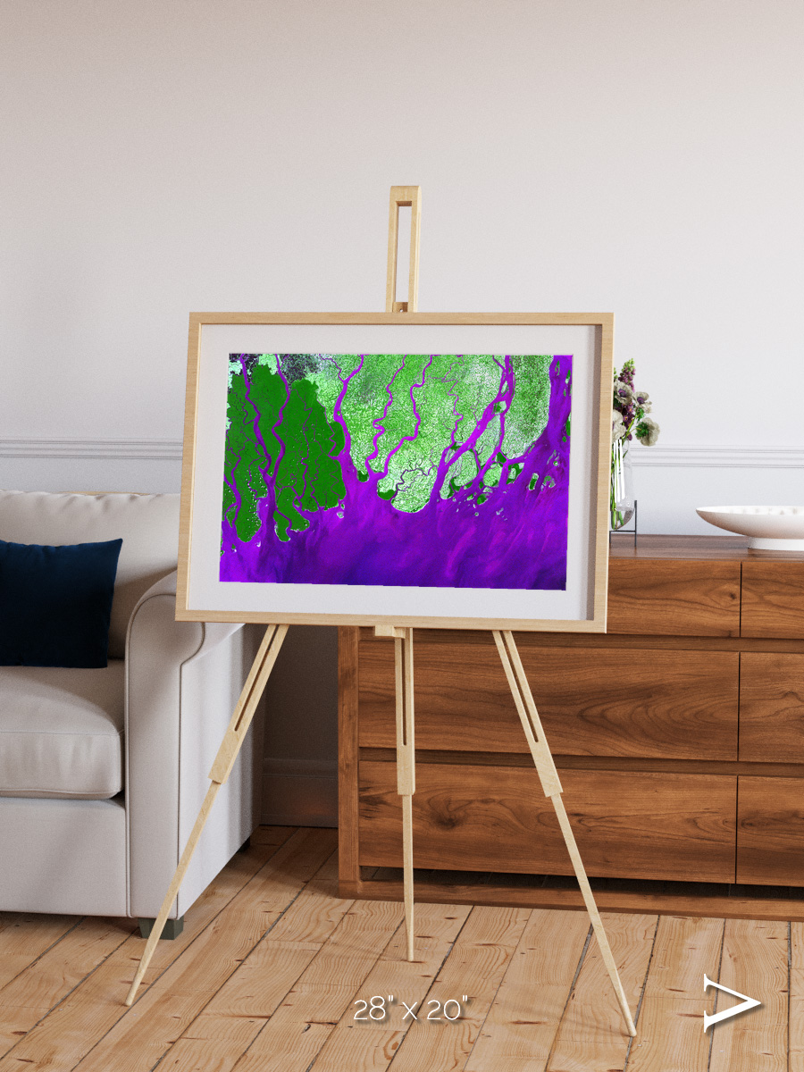 Delta Mosaic, Ganges River Delta Framed & Mounted Print