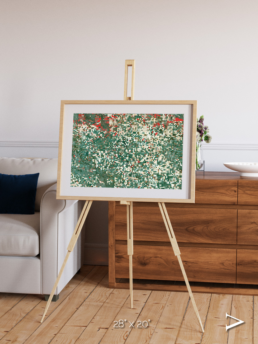 Patterns of Growth, Garden City Framed & Mounted Print