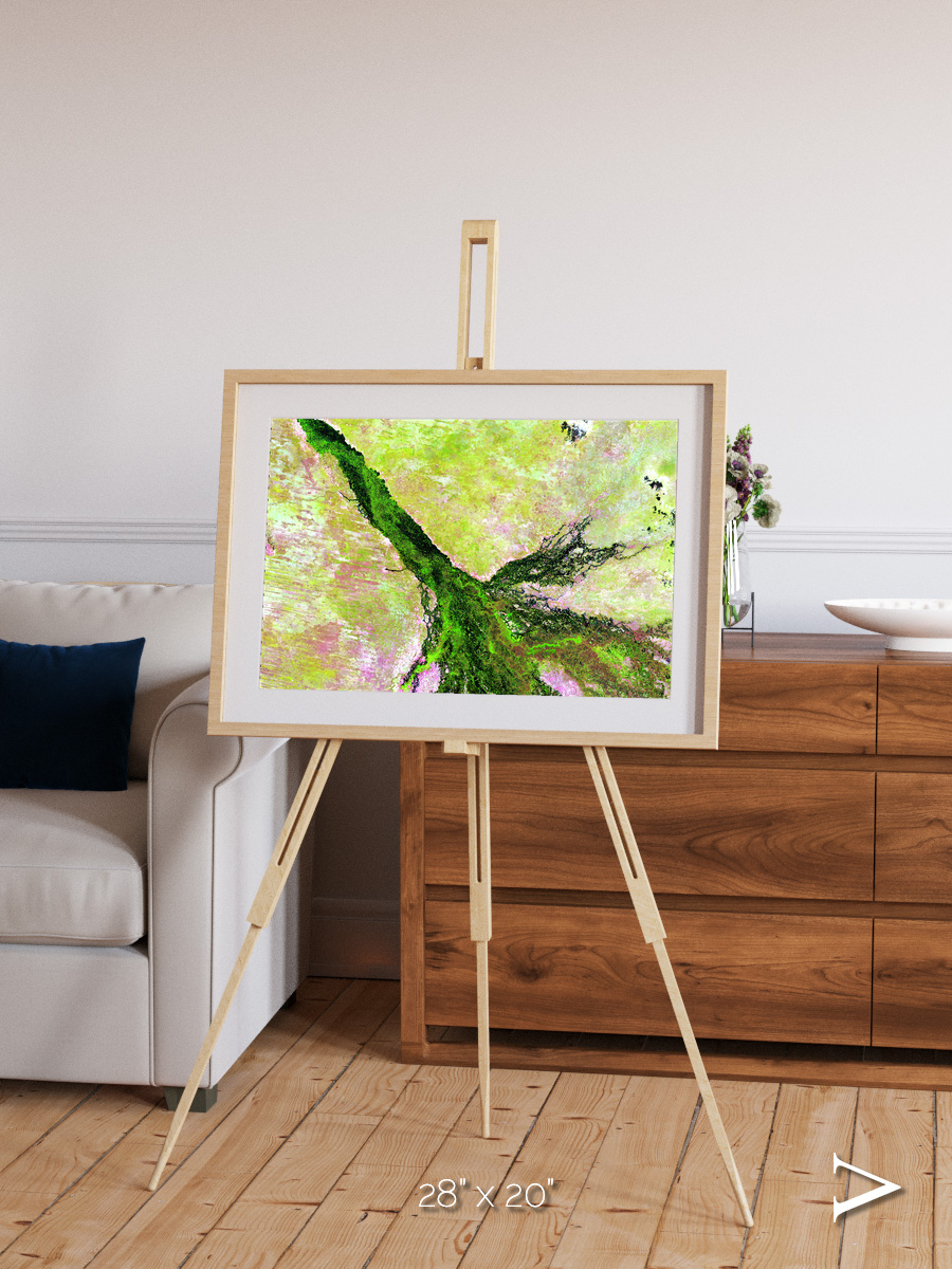 Inland Bloom, Okavango Framed & Mounted Print