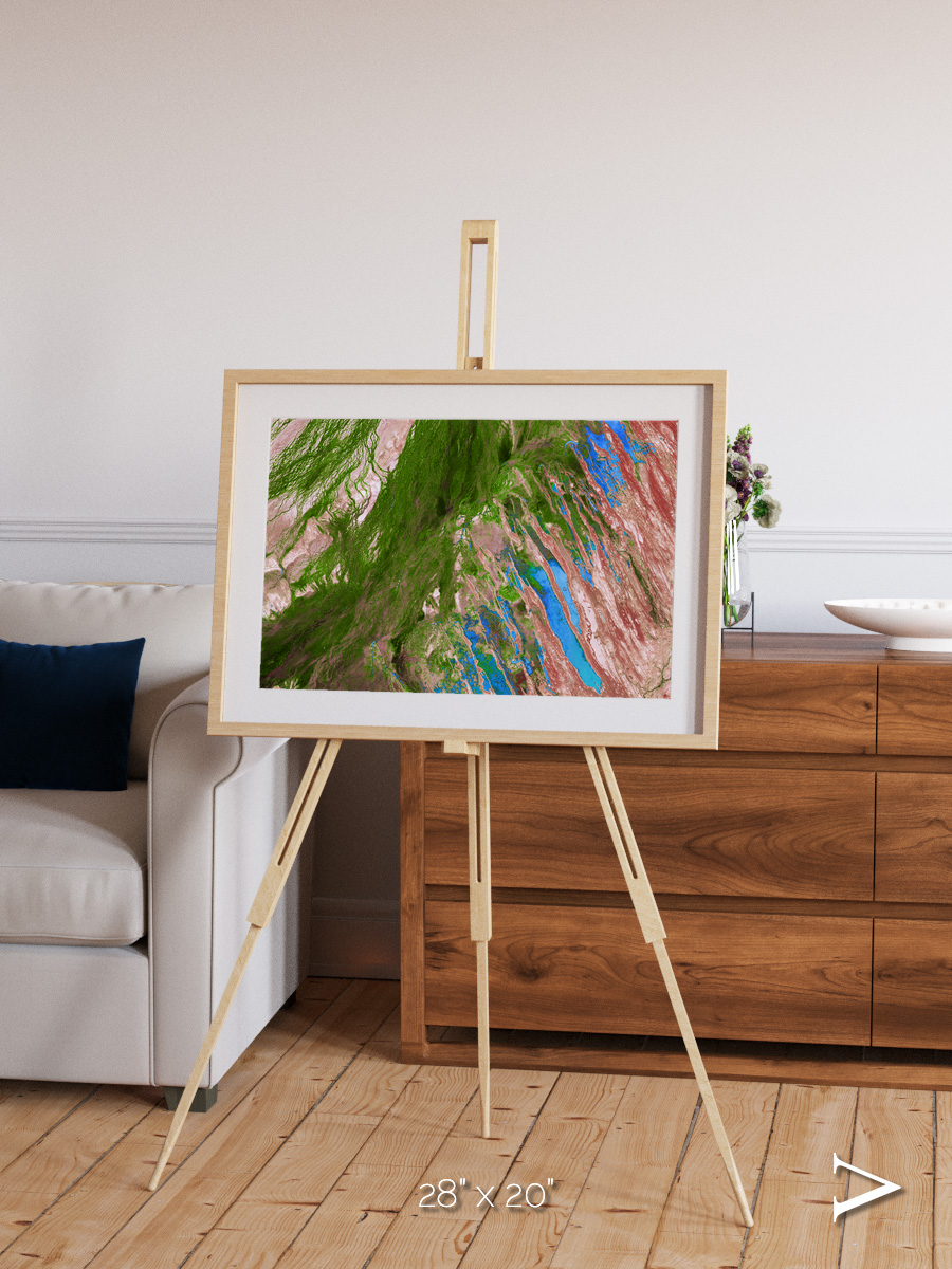 Desert Bloom, Lake Eyre Basin Framed & Mounted Print