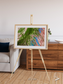 Desert Bloom, Lake Eyre Basin Framed & Mounted Print