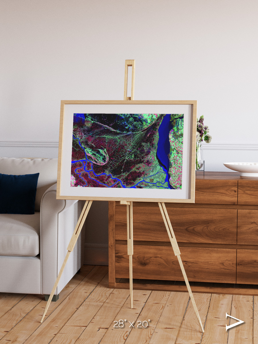 Braided Delta, Parana River Delta Framed & Mounted Print