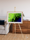 Delta Mosaic, Volga River Delta Framed & Mounted Print