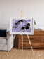 Vortices over Broutona, Kuril Islands Framed & Mounted Print