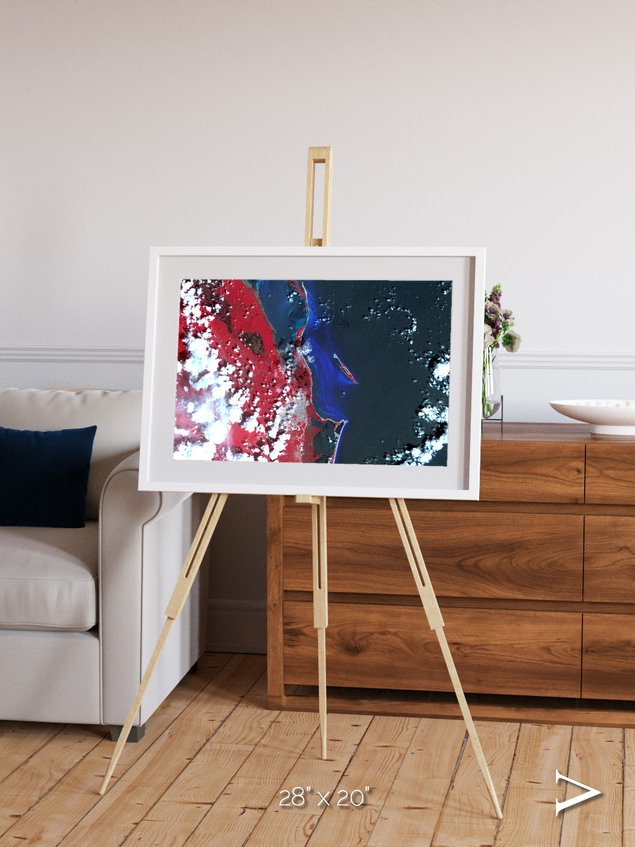 Living Edge, Cancun Framed & Mounted Print
