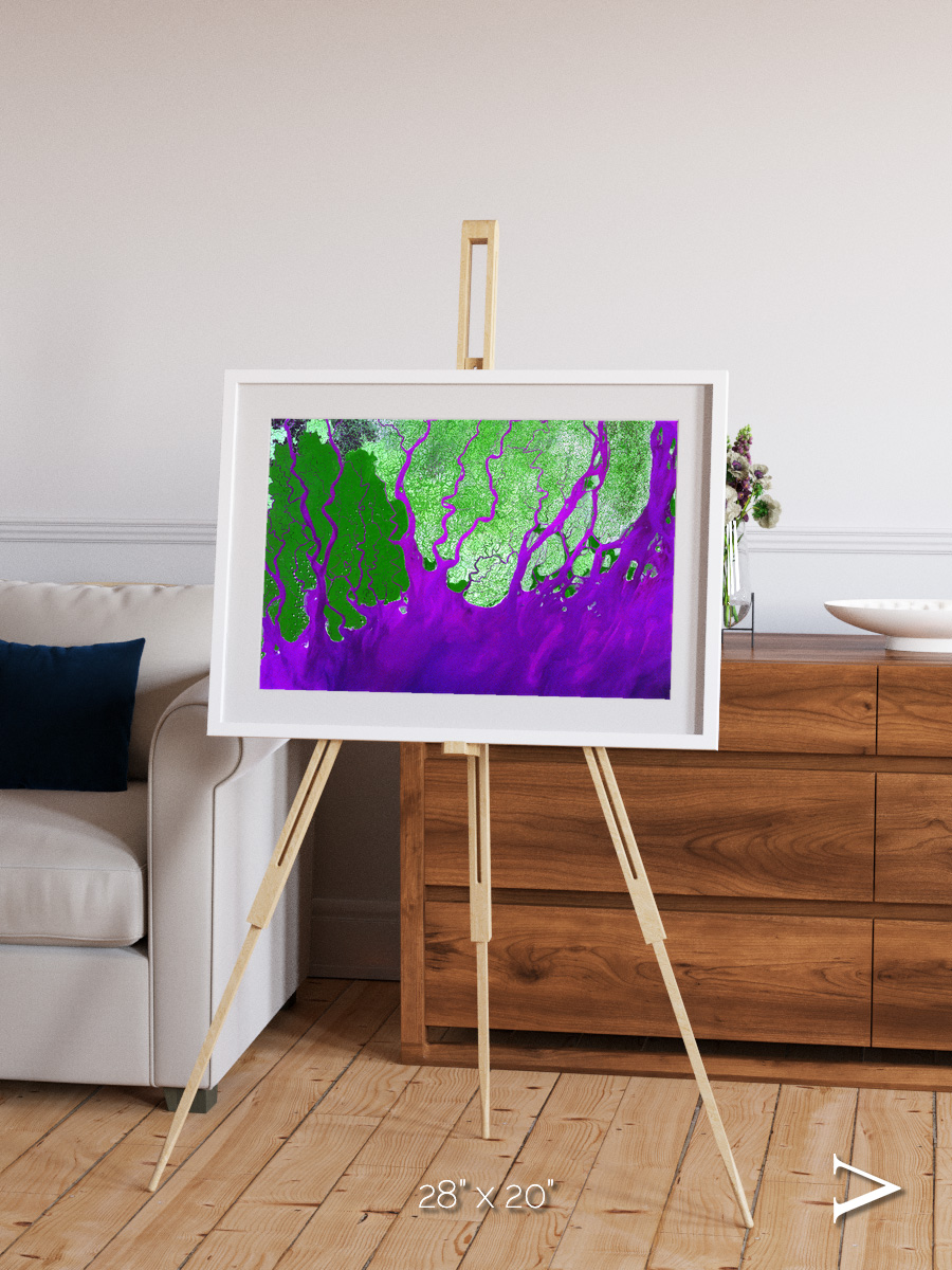 Delta Mosaic, Ganges River Delta Framed & Mounted Print