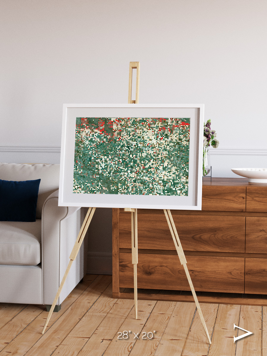 Patterns of Growth, Garden City Framed & Mounted Print