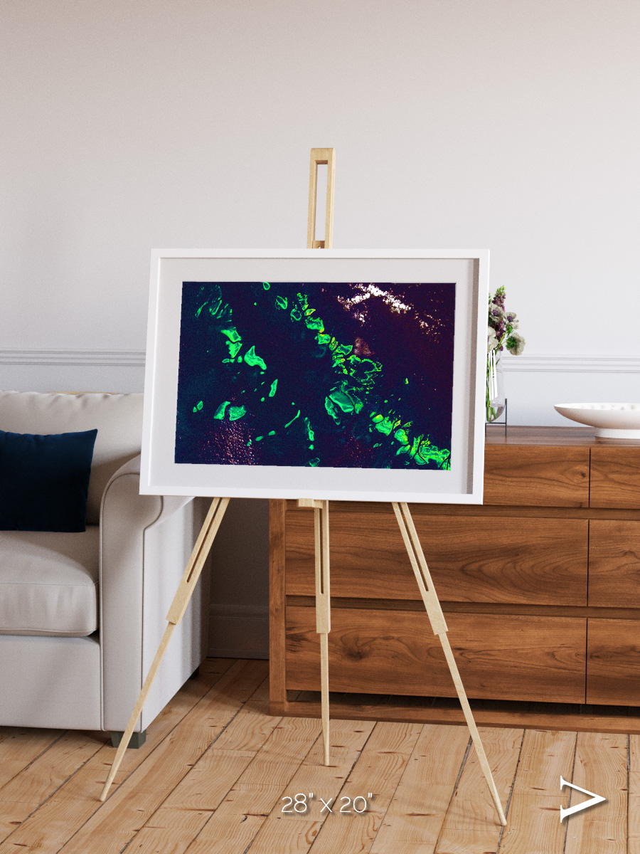 Patterned Ground, Great Barrier Reef Framed & Mounted Print