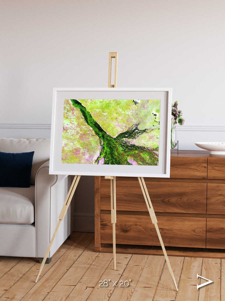 Inland Bloom, Okavango Framed & Mounted Print